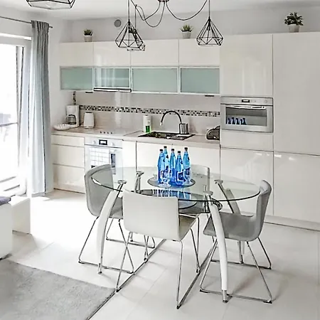 Apartment Gorgeous In With Kitchen